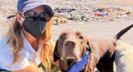 La conmovedora historia de la joven que ayuda a más de 100 perros en el desierto de Atacama