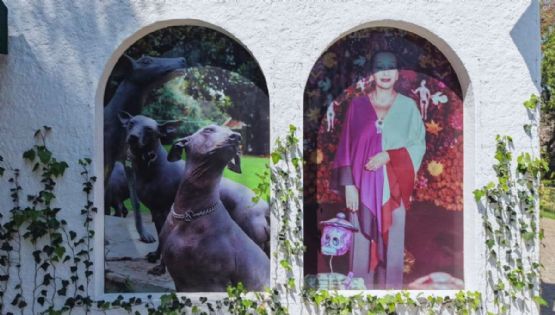 ¿Cómo llegar al Museo Dolores Olmedo en transporte público para disfrutar su reapertura?