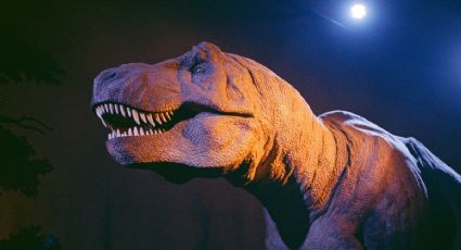 Nochesauria de Museos te espera con actividades jurásicas para niños
