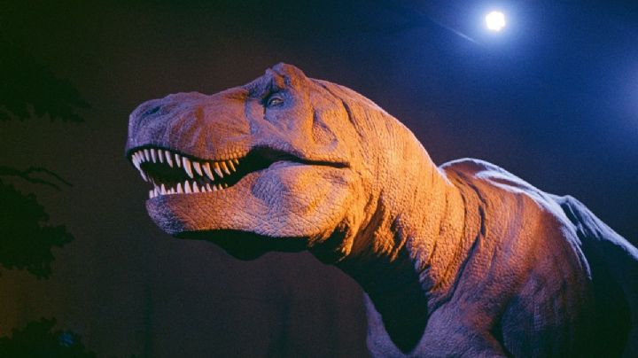 Nochesauria de Museos te espera con actividades jurásicas para niños