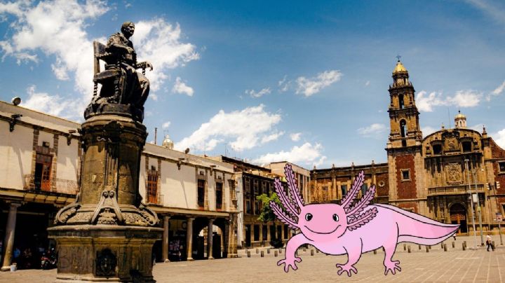 ¿Qué tipo de ajolote eres según la alcaldía de la CDMX en la que vives?