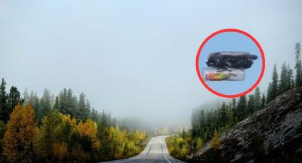 La conmovedora historia del ave que volvió a volar gracias a un pequeño dron