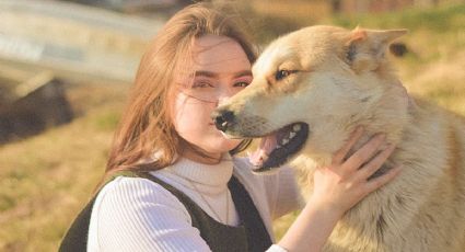 ¡Aún llegas! Disfruta la reunión de Perritos Caramelo GRATIS en la CDMX