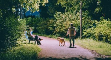 El parque de la CDMX con jardines ocultos y miradores para caminar de noche con tu mascota