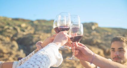 Festival Tinto Bajío 2026 te espera para celebrar con sabor y tradición: FECHAS