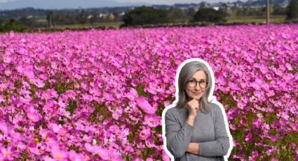 El pueblito de Guanajuato con mirasoles rosas para sorprender a mamá con vistas únicas