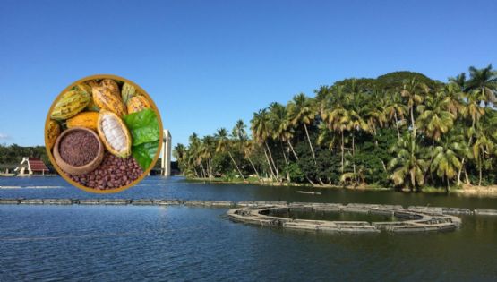 Tabasco, el destino de México reconocido por la calidad y legado del cacao