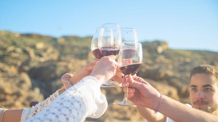 Festival Tinto Bajío 2026 te espera para celebrar con sabor y tradición: FECHAS