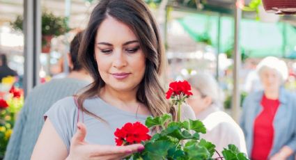 10 de mayo: Mercados de plantas y flores para consentir a mamá en su día