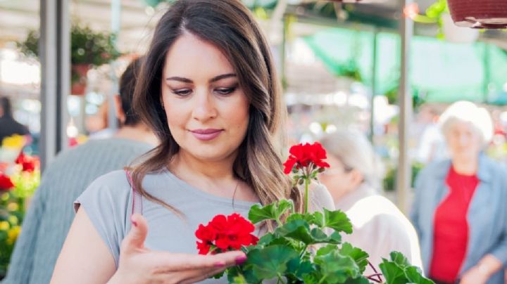 10 de mayo: Mercados de plantas y flores para consentir a mamá en su día