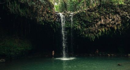 El único cenote de Puebla para disfrutar una maravilla natural cerca de CDMX
