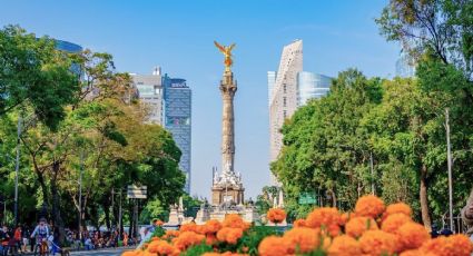 Actividades gratis en la Ciudad de México para disfrutar el fin de semana del 12 al 14 de junio