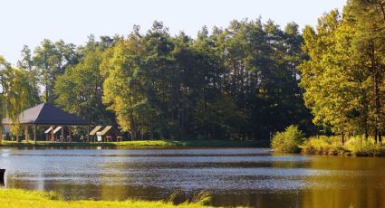 El bosque de San Miguel Regla con tirolesa, alberca y paseos en lancha por $50 pesos la entrada