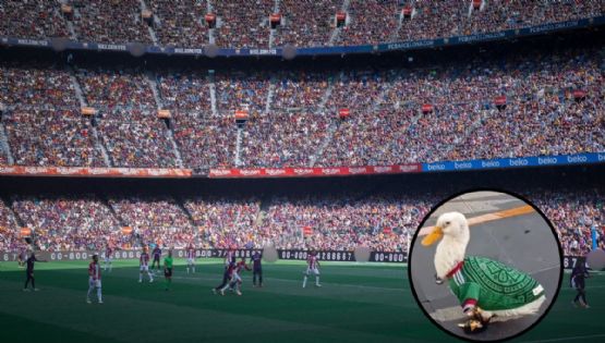 Merlín, la historia del patito que se robó los reflectores durante la fiesta futbolera en CDMX
