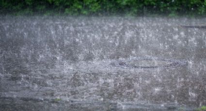 Clima en CDMX: ¿Qué alcaldías tendrán lluvias y granizo hoy?