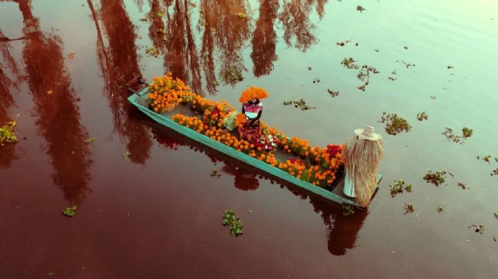 Canales oscuros y trajinera: Regresan las leyendas del Xochimilco con esta experiencia nocturna