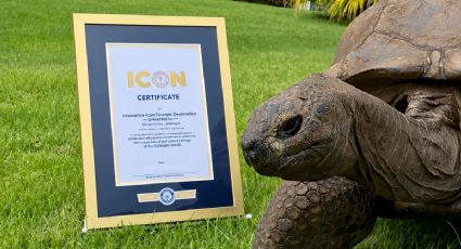 ¡Lo logró! Jonathan, la tortuga de 194 años ya es parte oficial del Récord Guinness