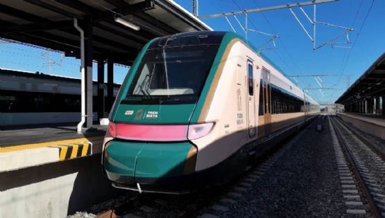 Así será la NUEVA experiencia del tren restaurante en tus rutas del Tren Maya