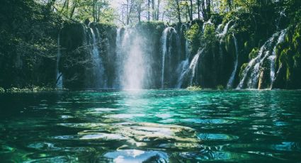 El ojo de agua cristalina para disfrutar un chapuzón en tus viajes por Chiapas