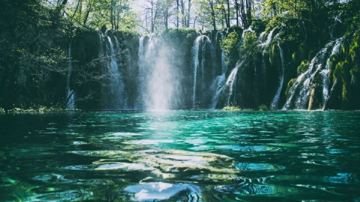 El ojo de agua cristalina para disfrutar un chapuzón en tus viajes por Chiapas