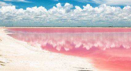 Las famosas lagunas rosas de Yucatán: cuánto cuesta visitarlas en junio