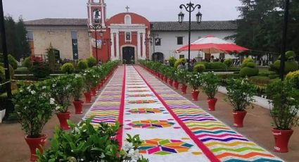 ¿Cómo llegar en autobús al pueblito de Hidalgo con bosques nubosos y coloridos tapetes de aserrín?
