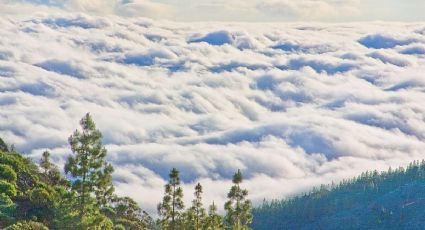 ¡Como si tocaras el cielo! El techo del mundo donde las montañas capturan las nubes
