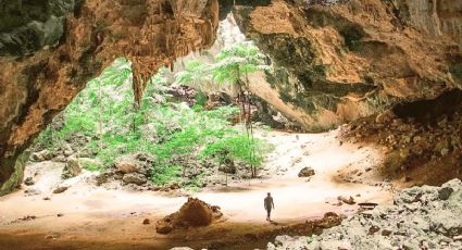 El ‘Sótano de la Lucha’: La ventana a las nubes en medio de la selva para disfrutar en Chiapas