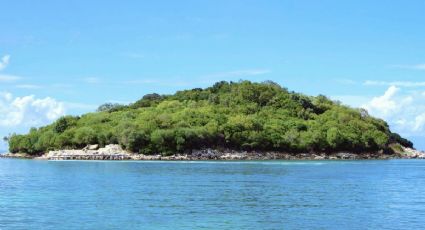 ¿Cuánto es de casetas para ir a la ‘isla’ cerca de Toluca con cabañas entre bosques de cedros?