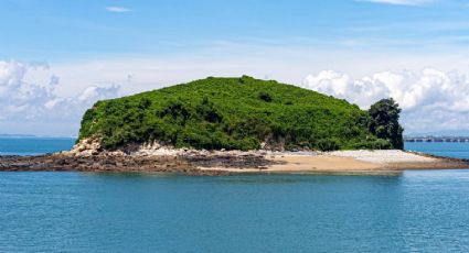 ¿Cuánto cuesta ir en autobús a la ‘isla’ cerca de Toluca con cabañas en un bosque de cedros?