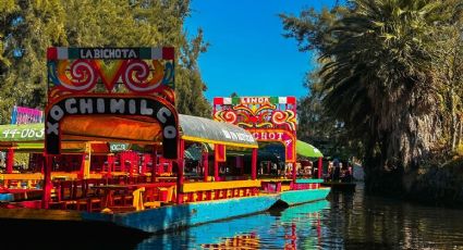 Los canales de Cuemanco para admirar las bellezas de Xochimilco si visitas la CDMX