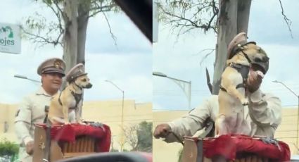 ¡El mejor compañero! Perrito se vuelve viral por acompañar todos los días a su dueño organillero