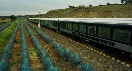 El pueblito de Jalisco con un tren de pasajeros para recorrer campos de agave y paisajes únicos