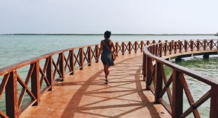 Conoce los nuevos paquetes turísticos del Tren Maya para las vacaciones de verano
