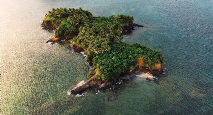 ¿Cuánto cuesta llegar en autobús a la isla de Veracruz cerca de la CDMX para sentirte como en el Caribe?