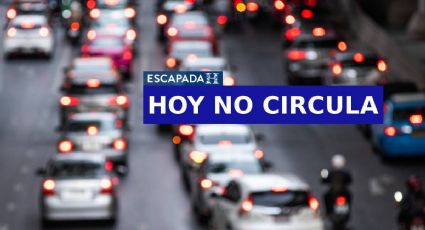 Hoy NO circula sábado 4 de julio 2026: ¿Qué autos descansan en CDMX y Edomex?