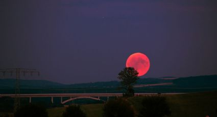 Luna de Fresa 2026: ¿Cómo verla desde México y cuál es el mejor horario?