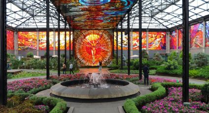 ¿Cuánto cuesta viajar en el Tren El Insurgente para visitar los destinos turísticos del Edomex?