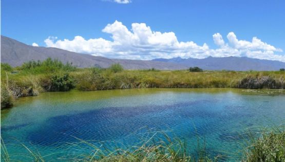 Día del Medio Ambiente: 5 Pueblos Mágicos que son ejemplo de conservación natural