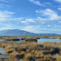 Clima y pronóstico meteorológico en Cuatro Ciénegas este viernes 5 de junio