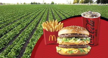 McDonald’s lleva el sabor del campo mexicano a la cancha mundialista