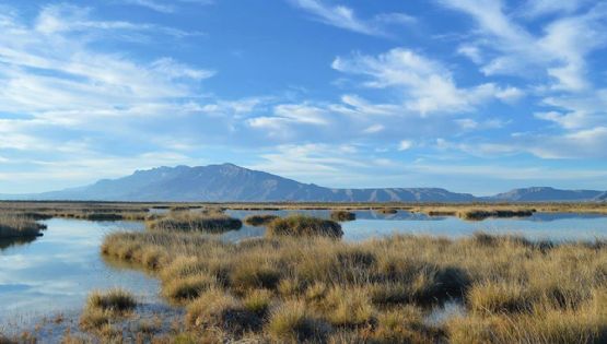 Clima y pronóstico meteorológico en Cuatro Ciénegas este viernes 5 de junio