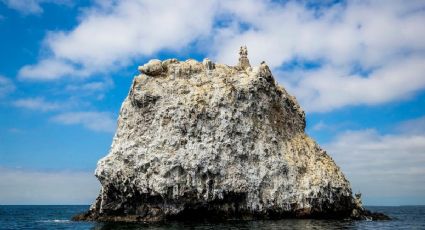 Día Mundial de los Océanos: Los encantos del Pacífico mexicano que puedes conocer en vacaciones