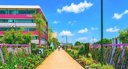 Así es el nuevo Jardín Flotante Tlallipan con cine al aire libre, fuentes y áreas verdes en CDMX