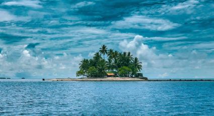 La isla oculta de México donde puedes despertar rodeado de tortugas, aves y mar turquesa