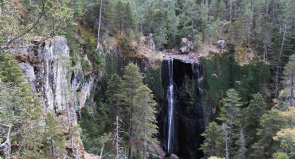El centro ecoturístico de Durango rodeado de cascadas y bosque para visitar el fin de semana
