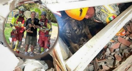 ¡Héroes de cuatro patas! Binomios caninos mexicanos rescatan a ‘Sarita’ en Venezuela