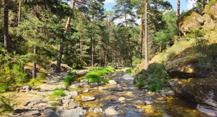 La joya escondida de Latinoamérica conocida como “el Jardín de la República” rodeada de naturaleza