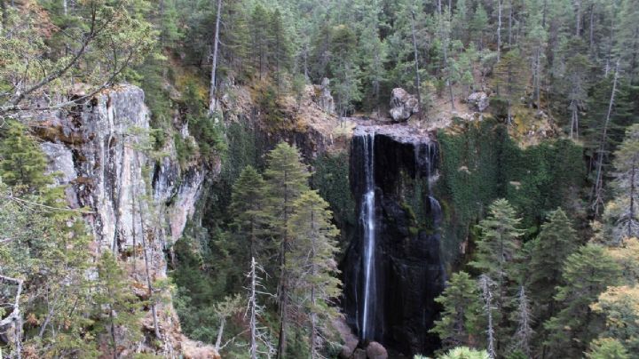 El centro ecoturístico de Durango rodeado de cascadas y bosque para visitar el fin de semana