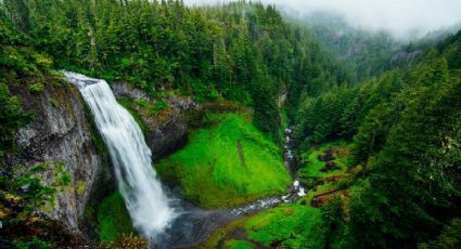 La cascada más alta de México que solo puedes disfrutar por temporada: costos y ruta